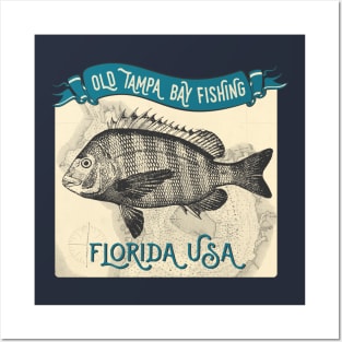 Old Tampa Bay Fishing Sheepshead Posters and Art